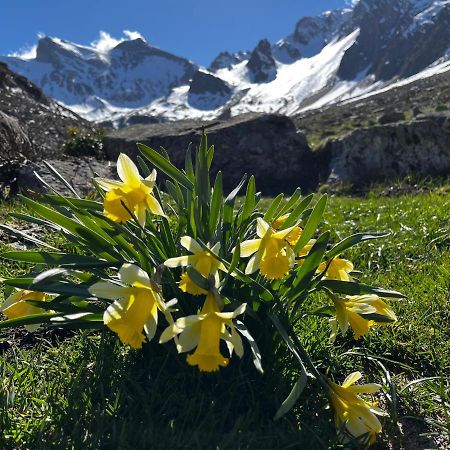 Ski Piau Engaly 50 M Des Pistes De Ski Et Du Coeur De Station อาร์กานูว์เอต์ ภายนอก รูปภาพ